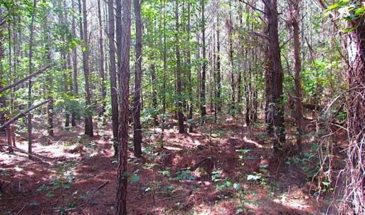 Photo of REDUCED! 3 Acre Building Site For Sale in Southampton County VA!