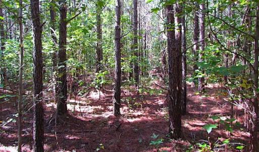 Photo of REDUCED! 3 Acre Building Site For Sale in Southampton County VA!