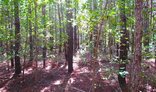 Photo of REDUCED! 3 Acre Building Site For Sale in Southampton County VA!