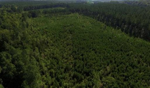 Photo of UNDER CONTRACT!!  45 Acres of Recreational and Hunting Land For Sale in Mecklenburg County VA!