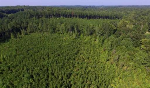 Photo of UNDER CONTRACT!!  45 Acres of Recreational and Hunting Land For Sale in Mecklenburg County VA!