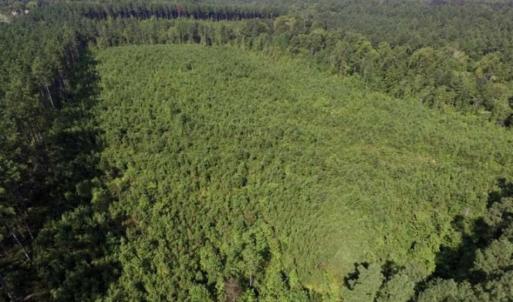 Photo of UNDER CONTRACT!!  45 Acres of Recreational and Hunting Land For Sale in Mecklenburg County VA!