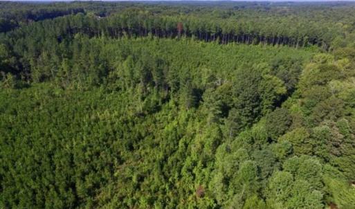 Photo of UNDER CONTRACT!!  45 Acres of Recreational and Hunting Land For Sale in Mecklenburg County VA!