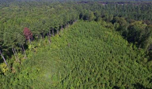 Photo of UNDER CONTRACT!!  45 Acres of Recreational and Hunting Land For Sale in Mecklenburg County VA!