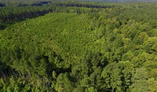 Photo of UNDER CONTRACT!!  45 Acres of Recreational and Hunting Land For Sale in Mecklenburg County VA!