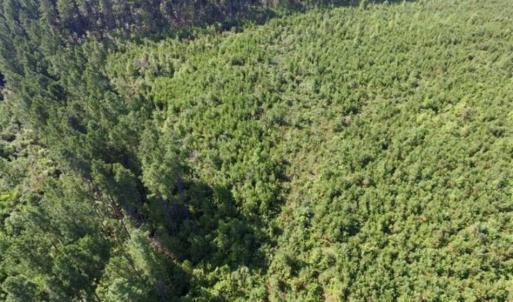 Photo of UNDER CONTRACT!!  45 Acres of Recreational and Hunting Land For Sale in Mecklenburg County VA!