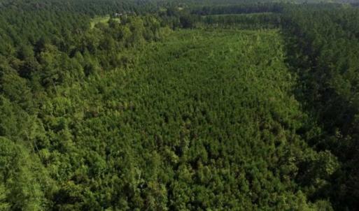 Photo of UNDER CONTRACT!!  45 Acres of Recreational and Hunting Land For Sale in Mecklenburg County VA!