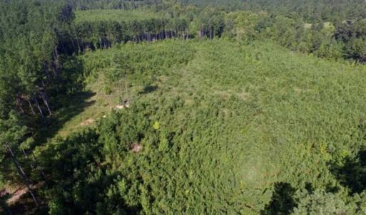 Photo of UNDER CONTRACT!!  45 Acres of Recreational and Hunting Land For Sale in Mecklenburg County VA!