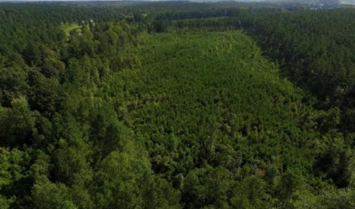 Photo of UNDER CONTRACT!!  45 Acres of Recreational and Hunting Land For Sale in Mecklenburg County VA!