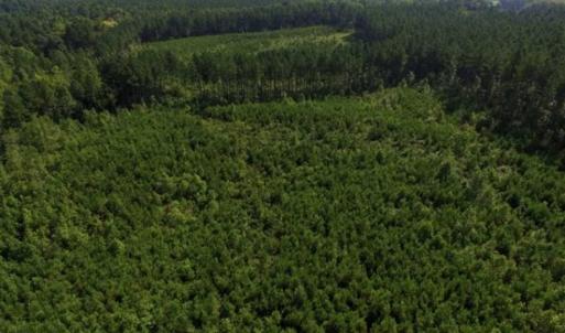 Photo of UNDER CONTRACT!!  45 Acres of Recreational and Hunting Land For Sale in Mecklenburg County VA!