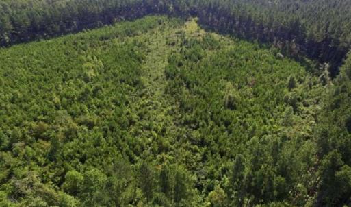 Photo of UNDER CONTRACT!!  45 Acres of Recreational and Hunting Land For Sale in Mecklenburg County VA!