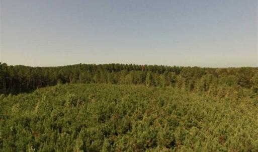 Photo of UNDER CONTRACT!!  45 Acres of Recreational and Hunting Land For Sale in Mecklenburg County VA!