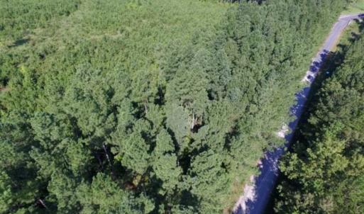 Photo of UNDER CONTRACT!!  45 Acres of Recreational and Hunting Land For Sale in Mecklenburg County VA!