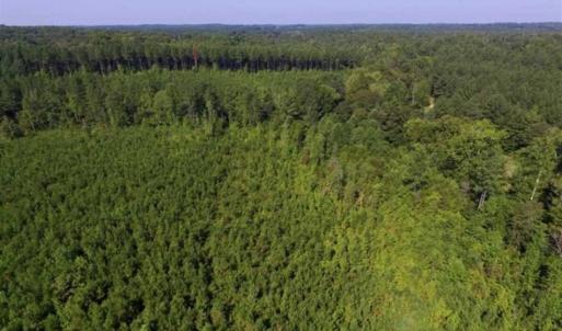 Photo of UNDER CONTRACT!!  45 Acres of Recreational and Hunting Land For Sale in Mecklenburg County VA!