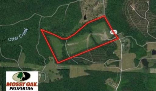 Photo of UNDER CONTRACT!!  45 Acres of Recreational and Hunting Land For Sale in Mecklenburg County VA!