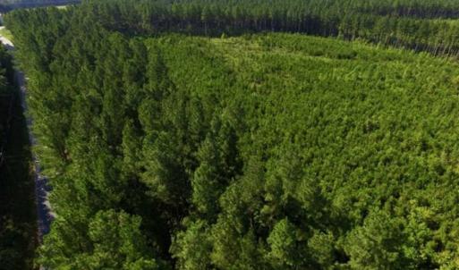 Photo of UNDER CONTRACT!!  45 Acres of Recreational and Hunting Land For Sale in Mecklenburg County VA!