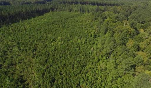 Photo of UNDER CONTRACT!!  45 Acres of Recreational and Hunting Land For Sale in Mecklenburg County VA!