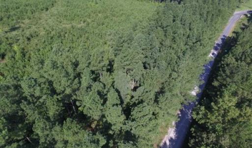 Photo of UNDER CONTRACT!!  45 Acres of Recreational and Hunting Land For Sale in Mecklenburg County VA!