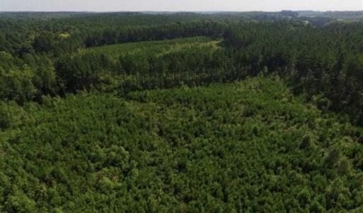 Photo of UNDER CONTRACT!!  45 Acres of Recreational and Hunting Land For Sale in Mecklenburg County VA!
