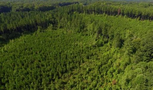 Photo of UNDER CONTRACT!!  45 Acres of Recreational and Hunting Land For Sale in Mecklenburg County VA!