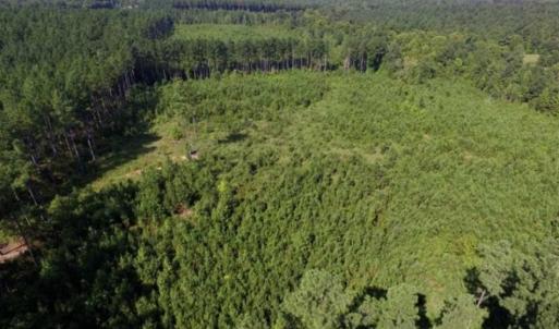 Photo of UNDER CONTRACT!!  45 Acres of Recreational and Hunting Land For Sale in Mecklenburg County VA!