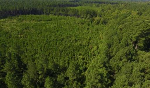 Photo of UNDER CONTRACT!!  45 Acres of Recreational and Hunting Land For Sale in Mecklenburg County VA!