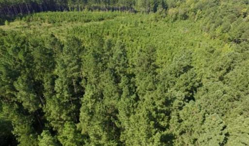 Photo of UNDER CONTRACT!!  45 Acres of Recreational and Hunting Land For Sale in Mecklenburg County VA!