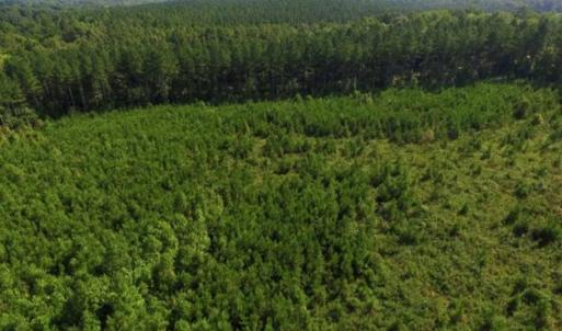 Photo of UNDER CONTRACT!!  45 Acres of Recreational and Hunting Land For Sale in Mecklenburg County VA!