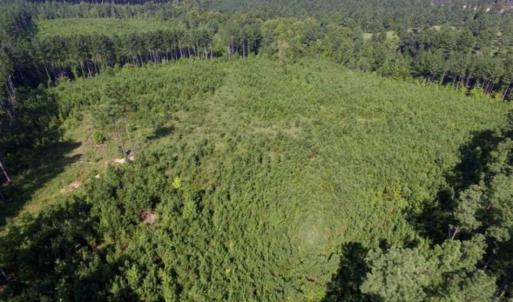 Photo of UNDER CONTRACT!!  45 Acres of Recreational and Hunting Land For Sale in Mecklenburg County VA!