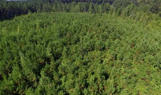 Photo of UNDER CONTRACT!!  45 Acres of Recreational and Hunting Land For Sale in Mecklenburg County VA!