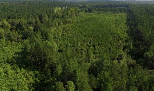 Photo of UNDER CONTRACT!!  45 Acres of Recreational and Hunting Land For Sale in Mecklenburg County VA!