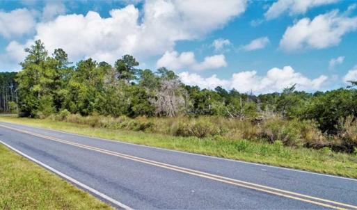 Photo of REDUCED! 17.82 Acres of Hunting Land for Sale in Pamlico County NC!