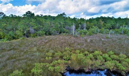 Photo of REDUCED! 17.82 Acres of Hunting Land for Sale in Pamlico County NC!
