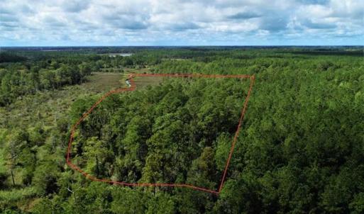 Photo of REDUCED! 17.82 Acres of Hunting Land for Sale in Pamlico County NC!