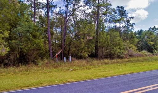 Photo of REDUCED! 17.82 Acres of Hunting Land for Sale in Pamlico County NC!