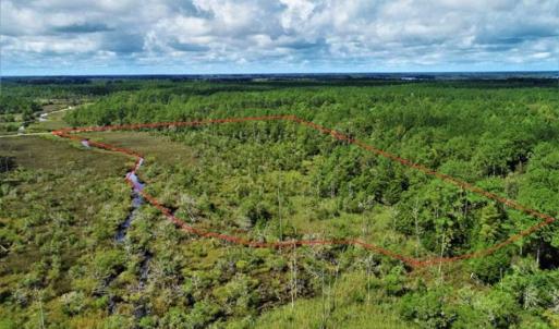 Photo of REDUCED! 17.82 Acres of Hunting Land for Sale in Pamlico County NC!