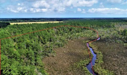 Photo of REDUCED! 17.82 Acres of Hunting Land for Sale in Pamlico County NC!