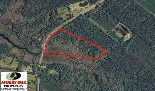 Photo of REDUCED! 17.82 Acres of Hunting Land for Sale in Pamlico County NC!