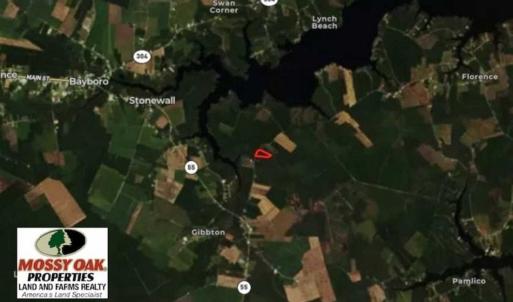 Photo of REDUCED! 17.82 Acres of Hunting Land for Sale in Pamlico County NC!