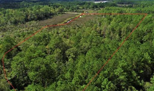 Photo of REDUCED! 17.82 Acres of Hunting Land for Sale in Pamlico County NC!