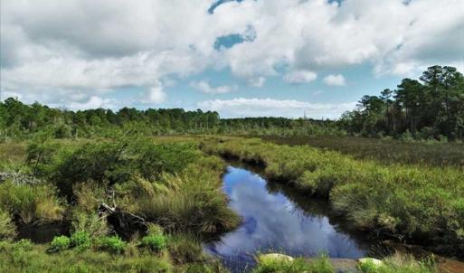 Photo of REDUCED! 17.82 Acres of Hunting Land for Sale in Pamlico County NC!