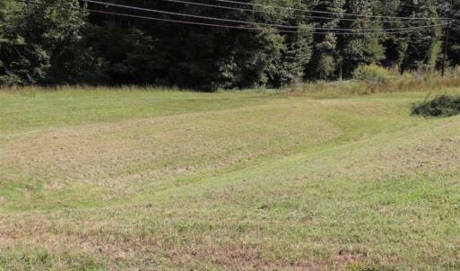 Photo of 7.85 Acres of Land with Home For Sale in Caswell County NC!