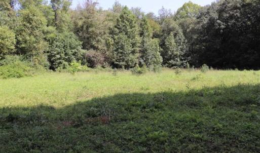 Photo of 7.85 Acres of Land with Home For Sale in Caswell County NC!