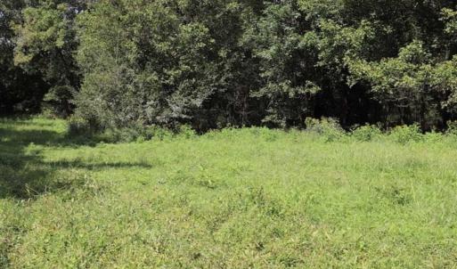 Photo of 7.85 Acres of Land with Home For Sale in Caswell County NC!