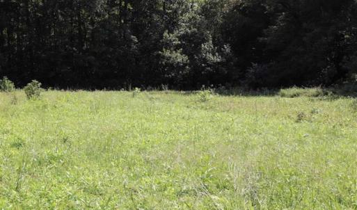 Photo of 7.85 Acres of Land with Home For Sale in Caswell County NC!