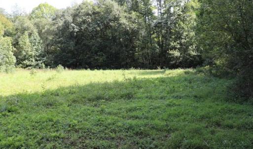 Photo of 7.85 Acres of Land with Home For Sale in Caswell County NC!