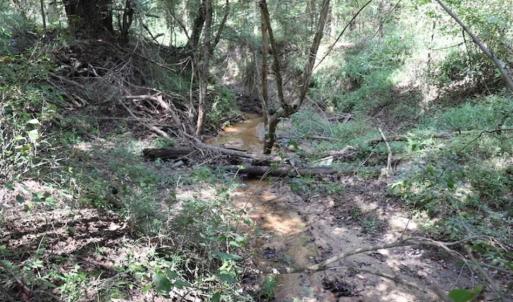 Photo of 7.85 Acres of Land with Home For Sale in Caswell County NC!