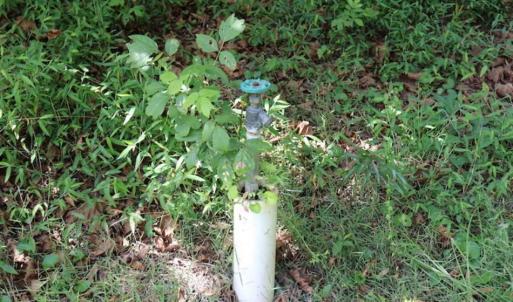 Photo of 7.85 Acres of Land with Home For Sale in Caswell County NC!