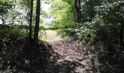 Photo of 7.85 Acres of Land with Home For Sale in Caswell County NC!