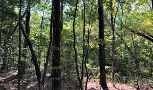 Photo of 0.71 Acres of Residential Land for Sale in Richmond County VA!